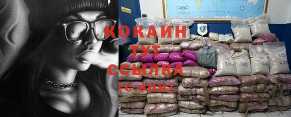 PSILOCYBIN Надым